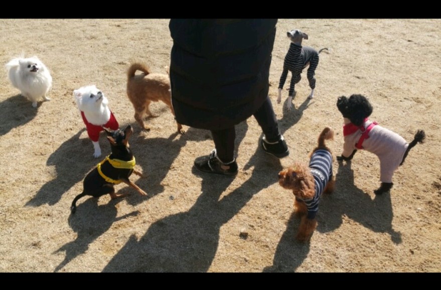 (주)오스타코리아 이미지
