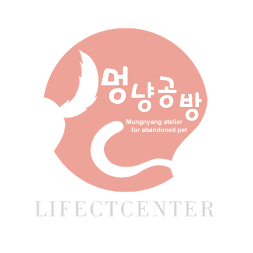 꿈꾸는공방 이미지