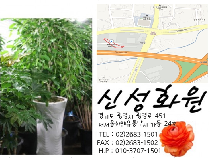 농원집 이미지