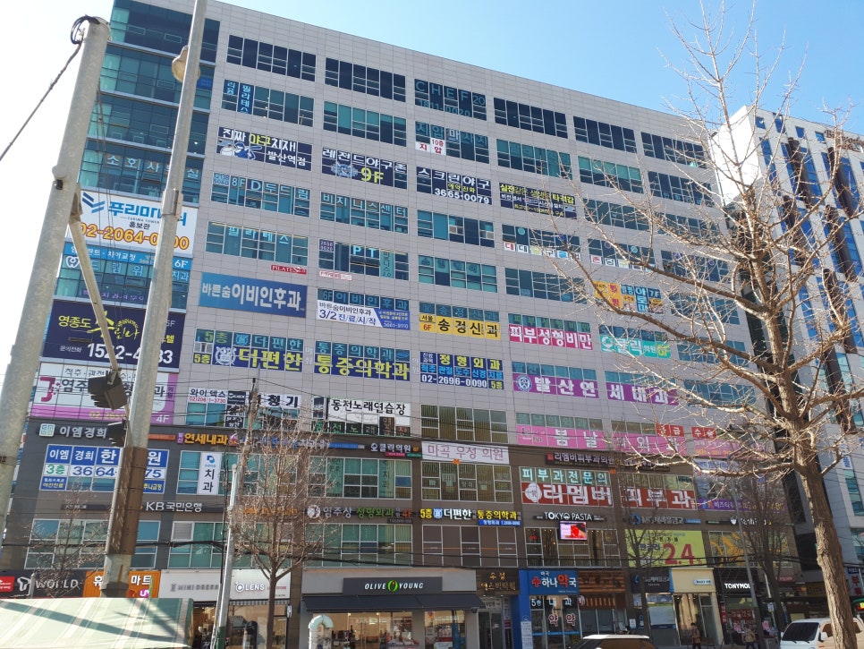 에스비렌트 이미지