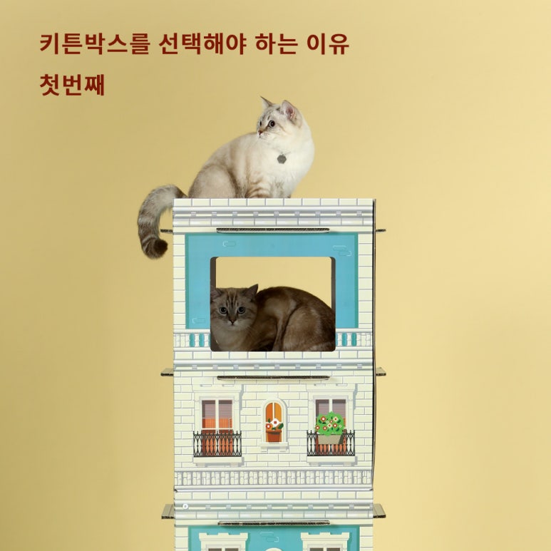 키튼디자인 이미지