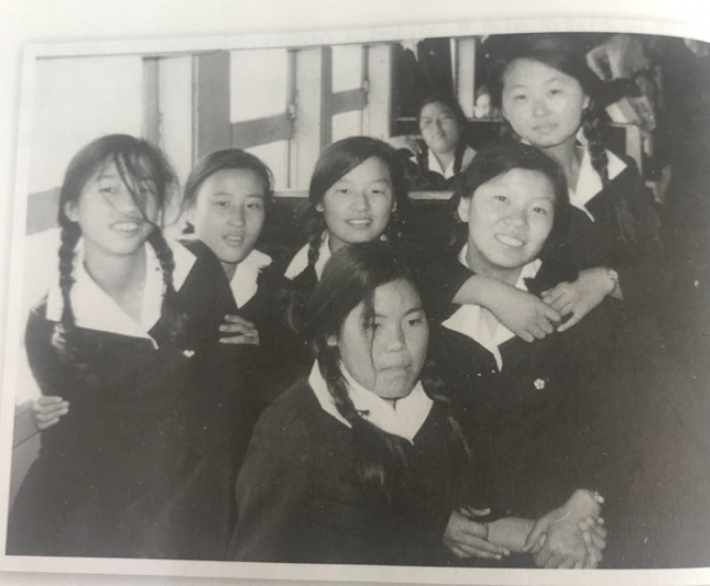 든든한나무 이미지