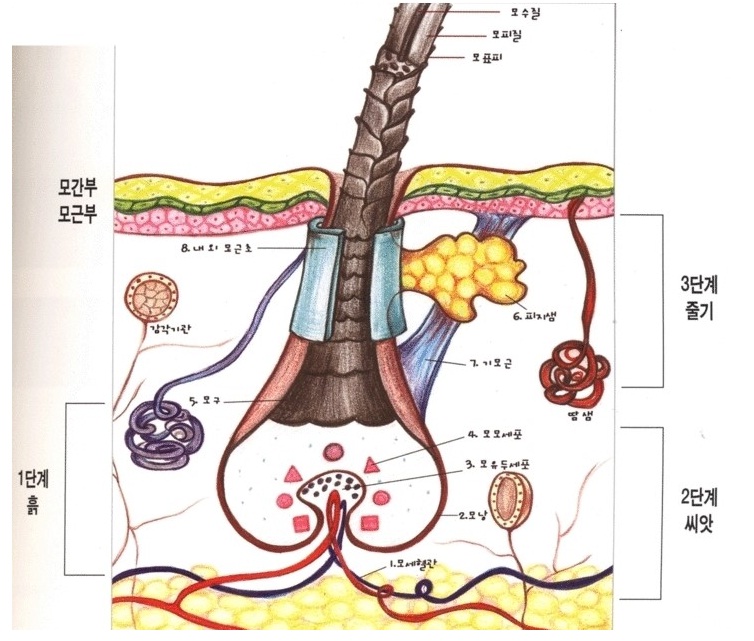 닥터플러스 이미지