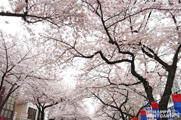 cu제주전농로점 이미지