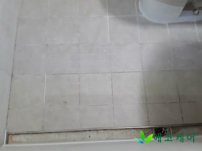 에코케어(eco-care) 이미지
