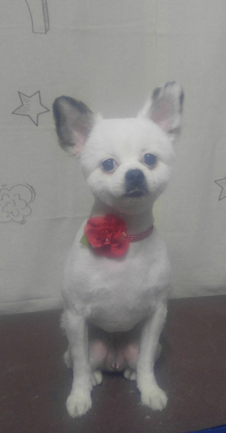 대성사우나 미용실 이미지