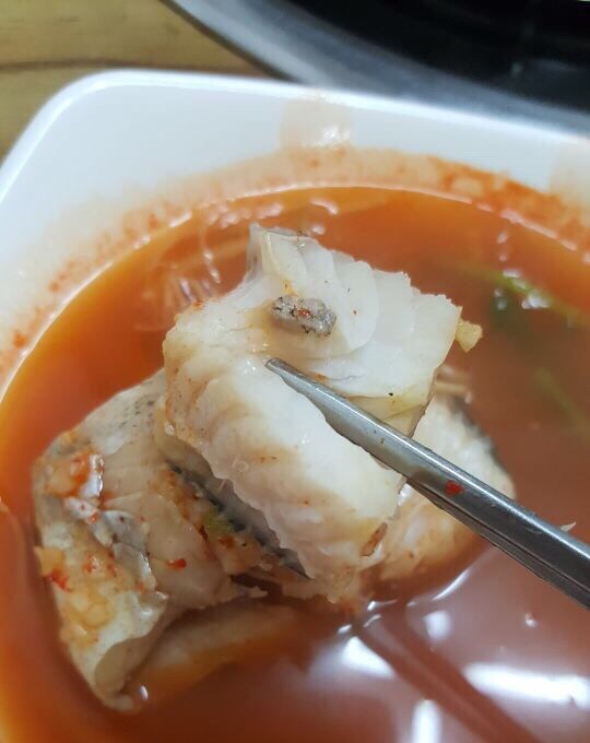 어돈 이미지