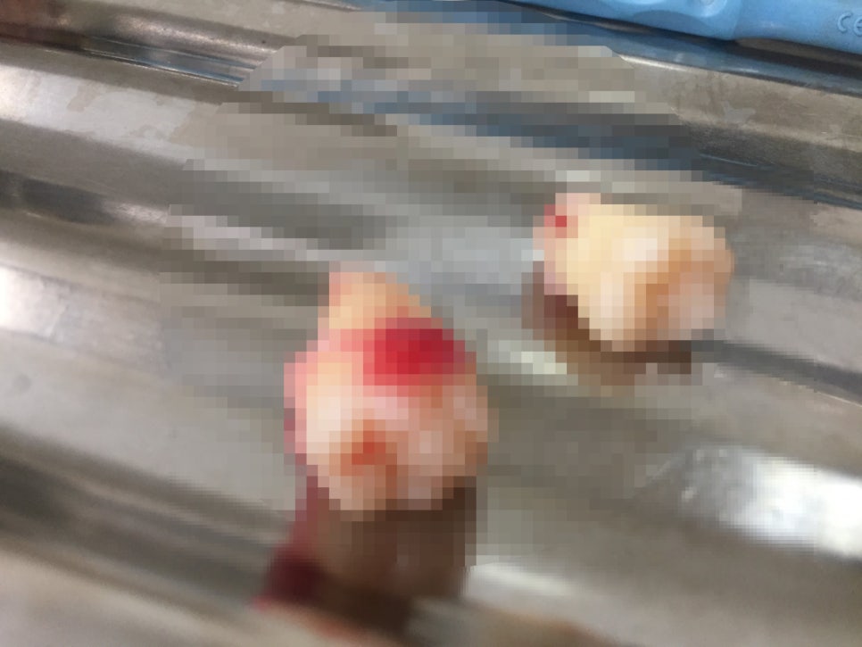 김＆장치과 이미지