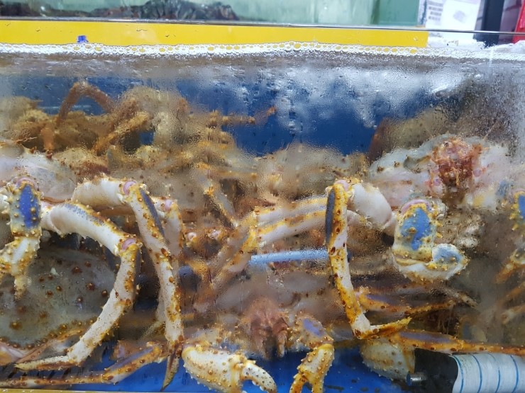 일산수산물시장 이미지