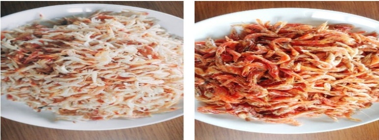 비금도바닷가펜션 이미지