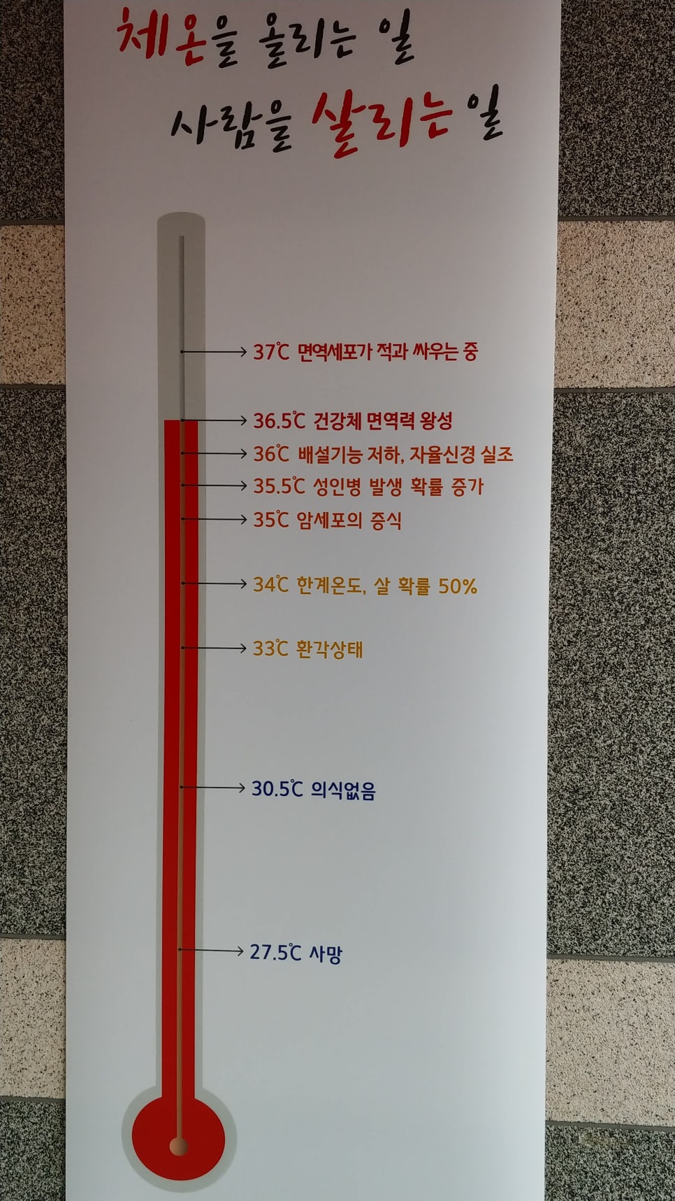 바이오포톤 이미지