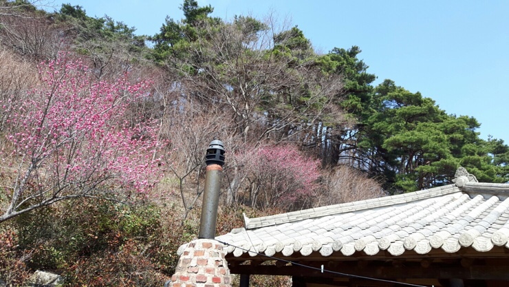 축령산휴림 이미지