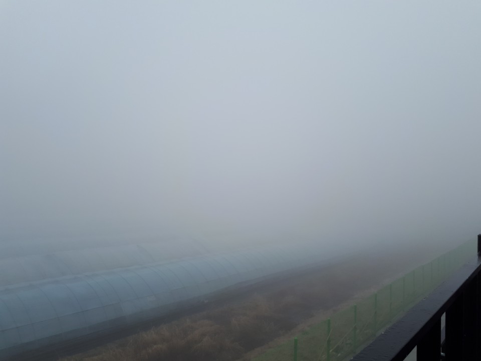 세기공조 이미지