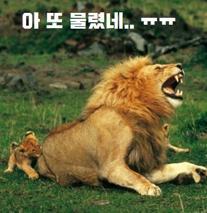 삼원에스 이미지