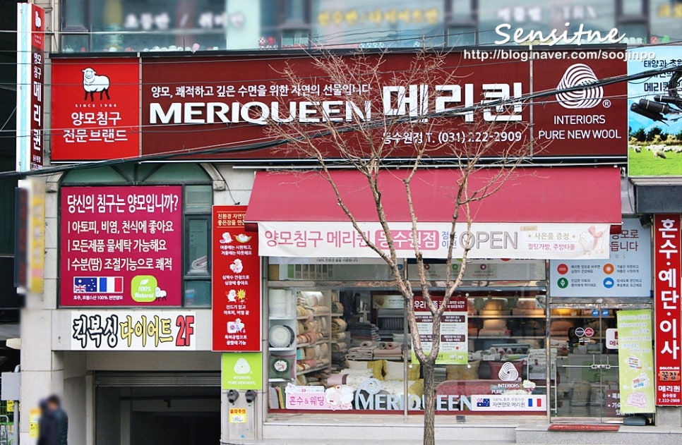 메리퀸동 이미지