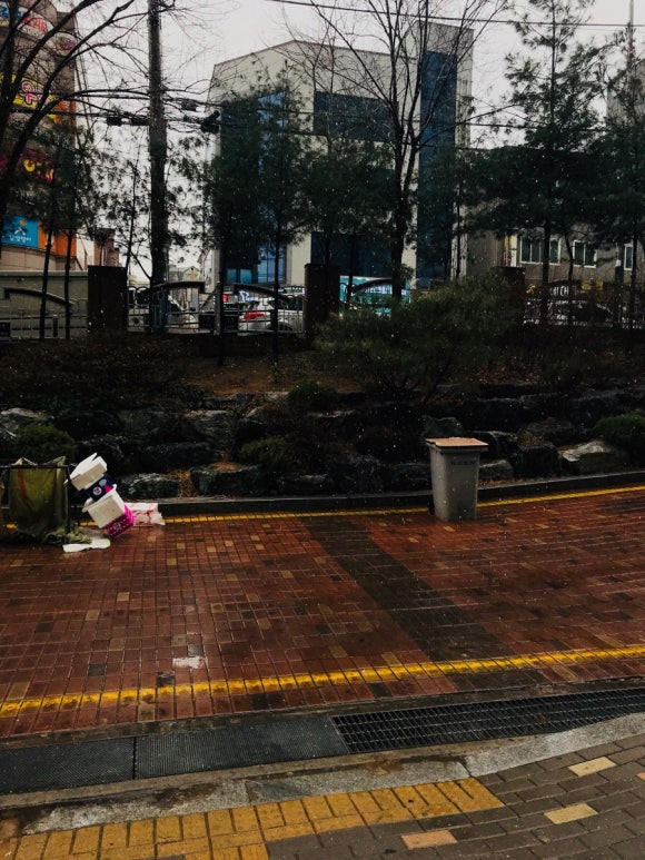 블리스가든 이미지