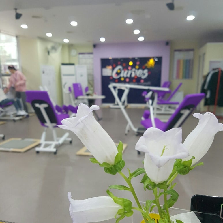 커브스상암클럽 이미지