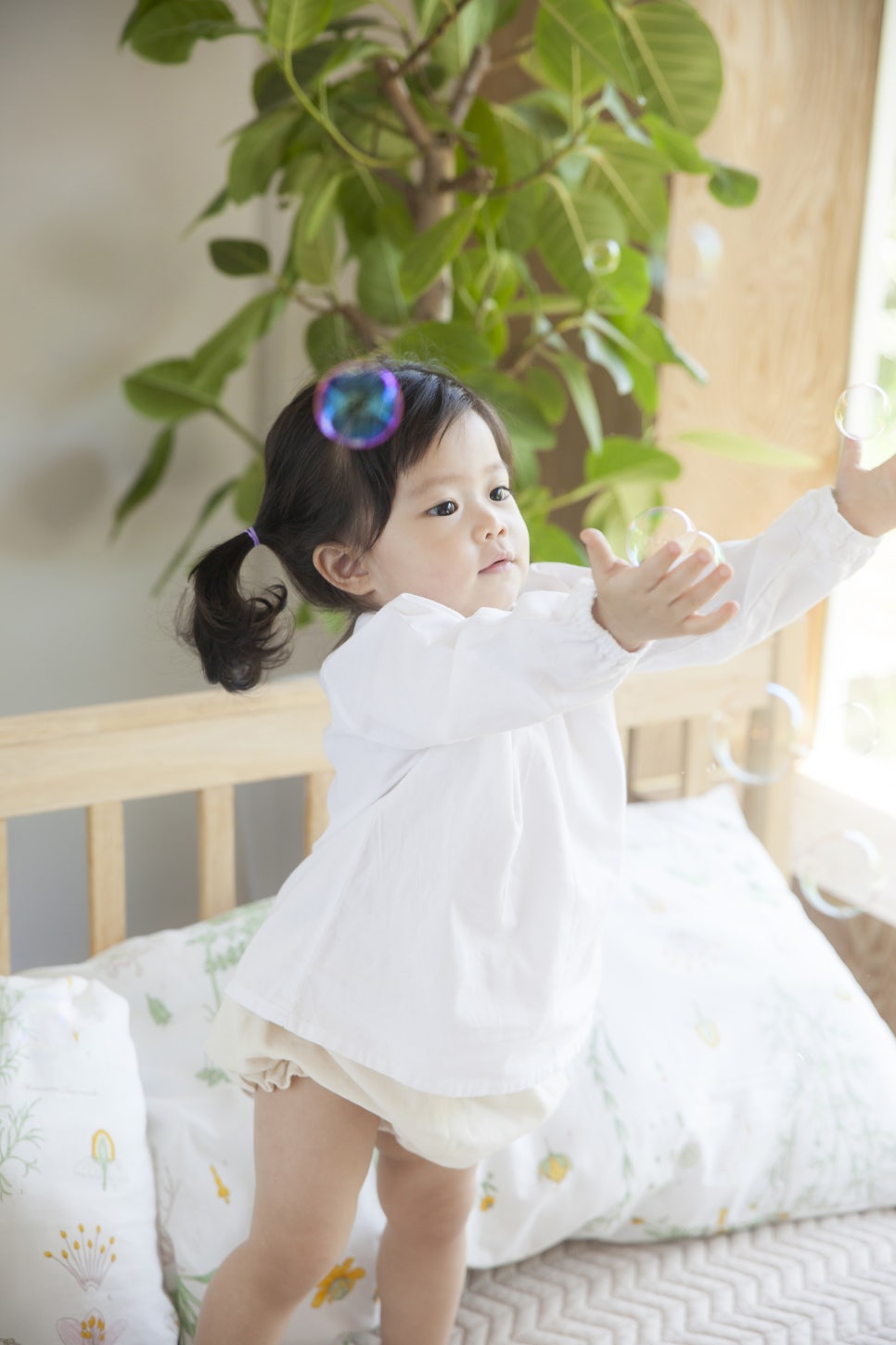 민들레사진관 이미지