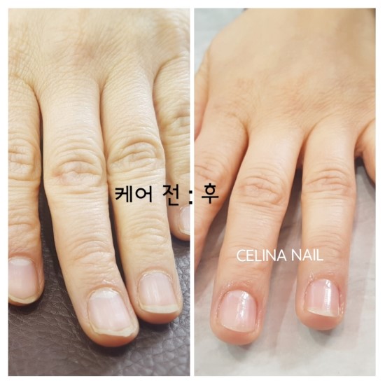 네일셀리나 이미지