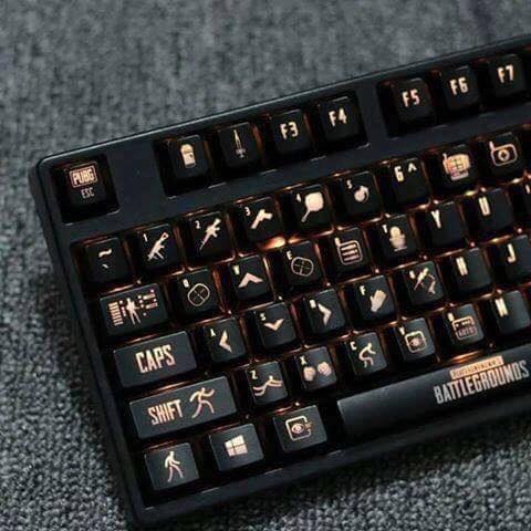 그린피시방 이미지