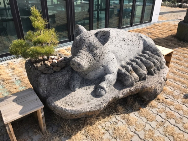 섹시한돼지 이미지