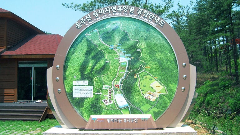 영남디앤지 이미지