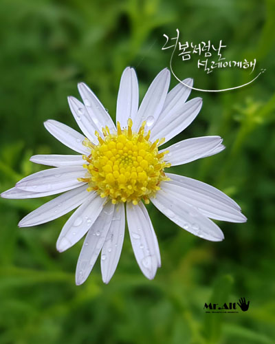 메인모바일 이미지