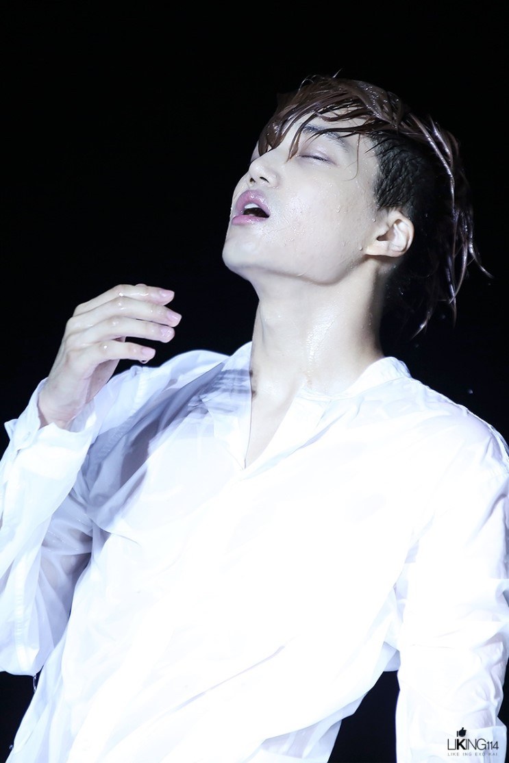 티케 이미지