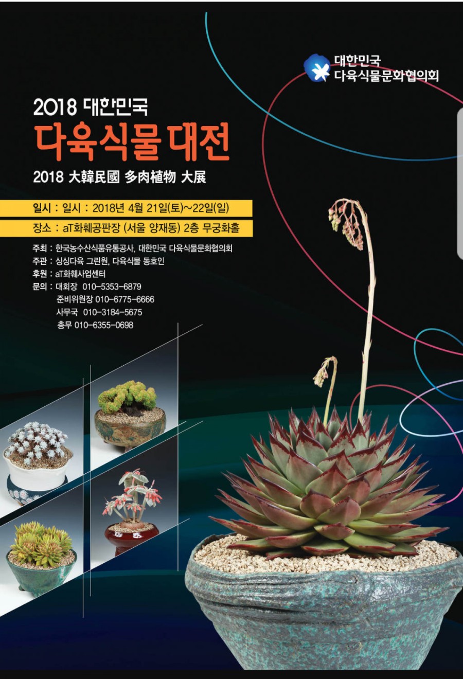 수다육 이미지
