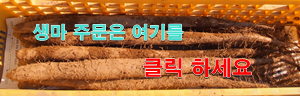 한티골마 이미지
