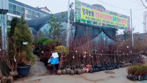 영재농원 이미지