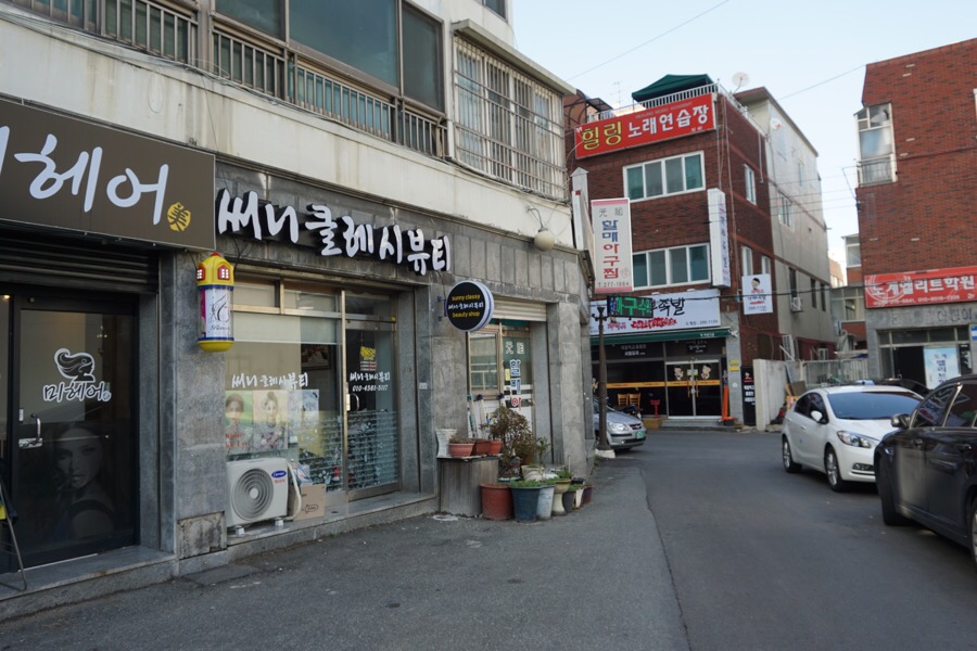 써니클레시 이미지