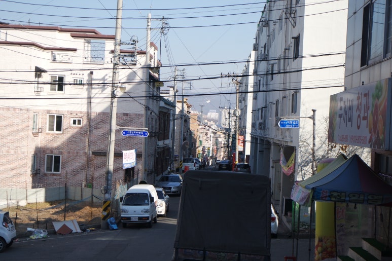 두꺼비청과 이미지