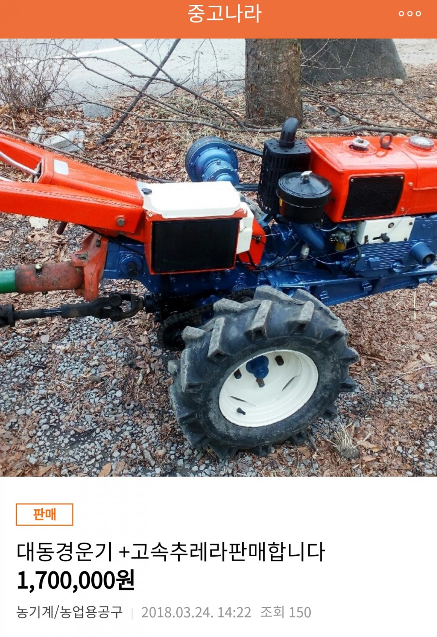 합천추레라 이미지