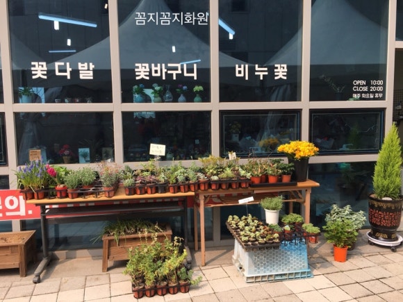 꼼지꼼지화원 이미지