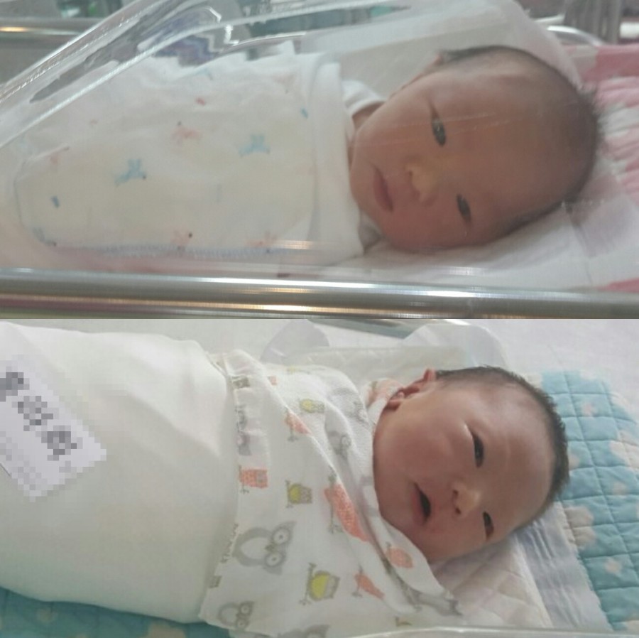 열매열무2 이미지