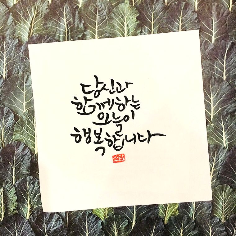 오늘도소담 이미지