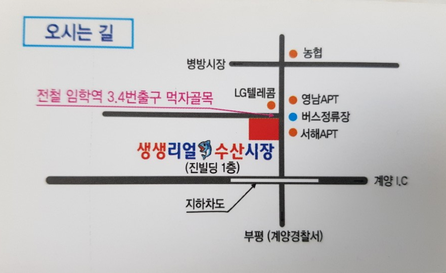 생생리얼수산시장 이미지