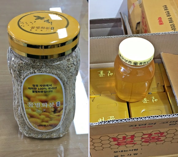 청닮 이미지