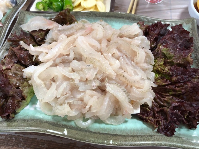 동해문어 이미지