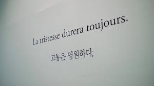 회기주짓수 이미지