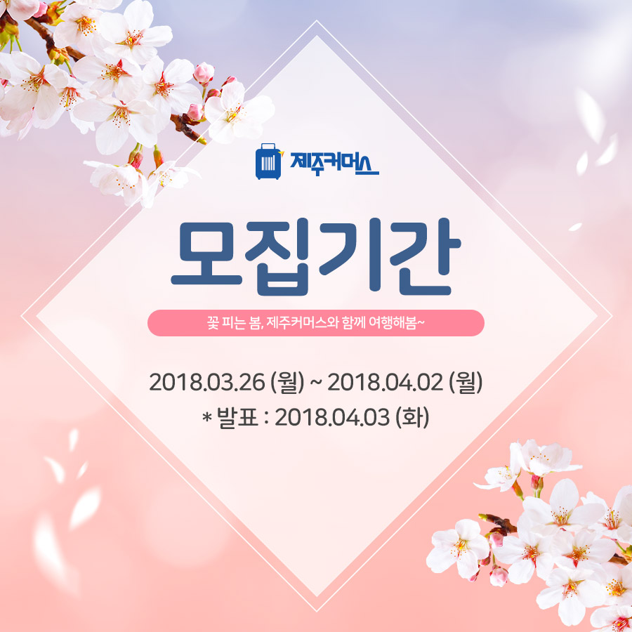 제주커머스 이미지