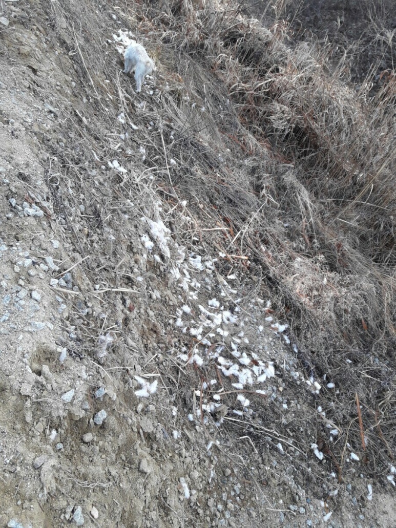 천진농장 이미지