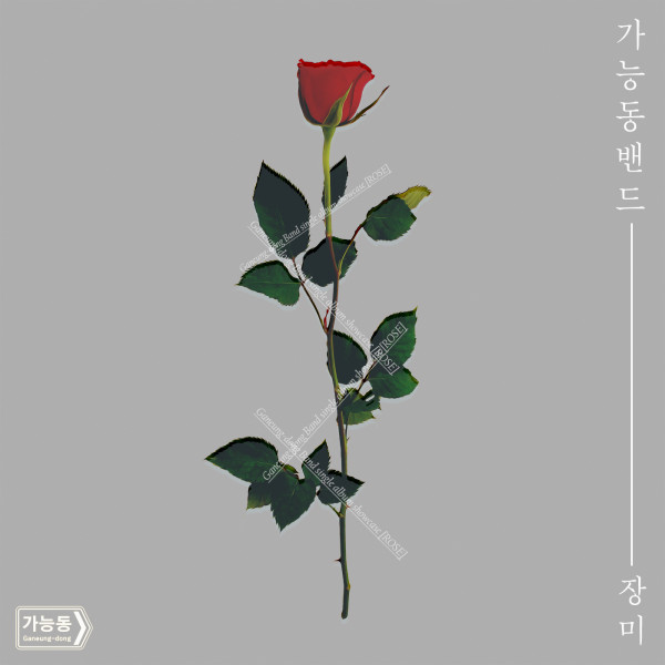 장미유통 이미지