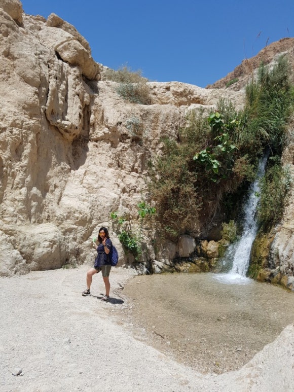 엔게디(Ein Gedi) 이미지