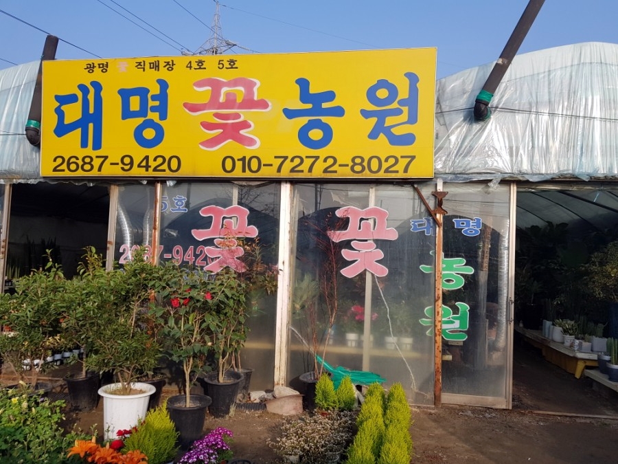 꽃단지농원 이미지