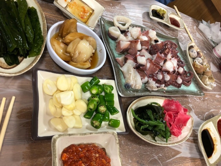 동해문어 이미지