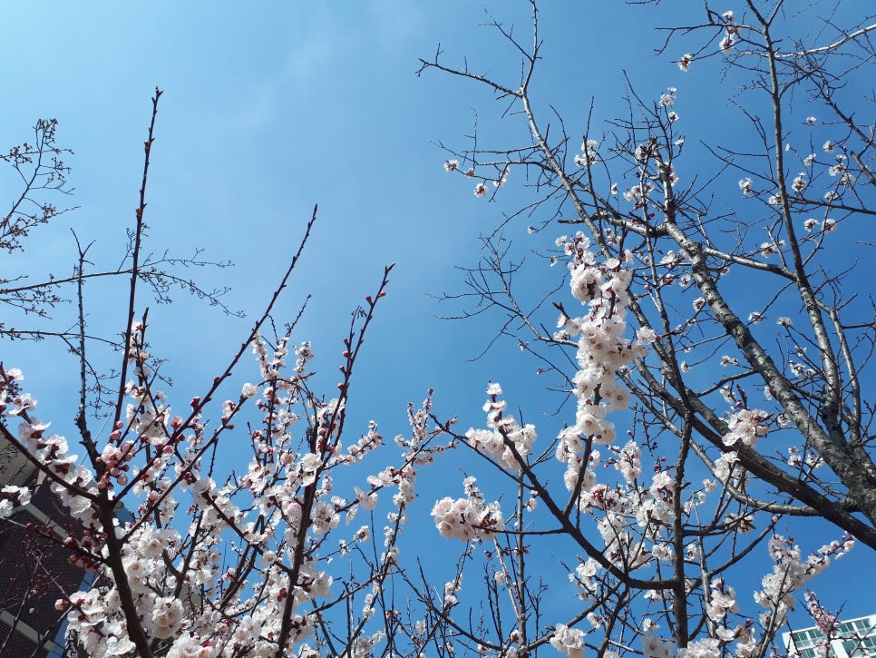 신화클리닝 이미지