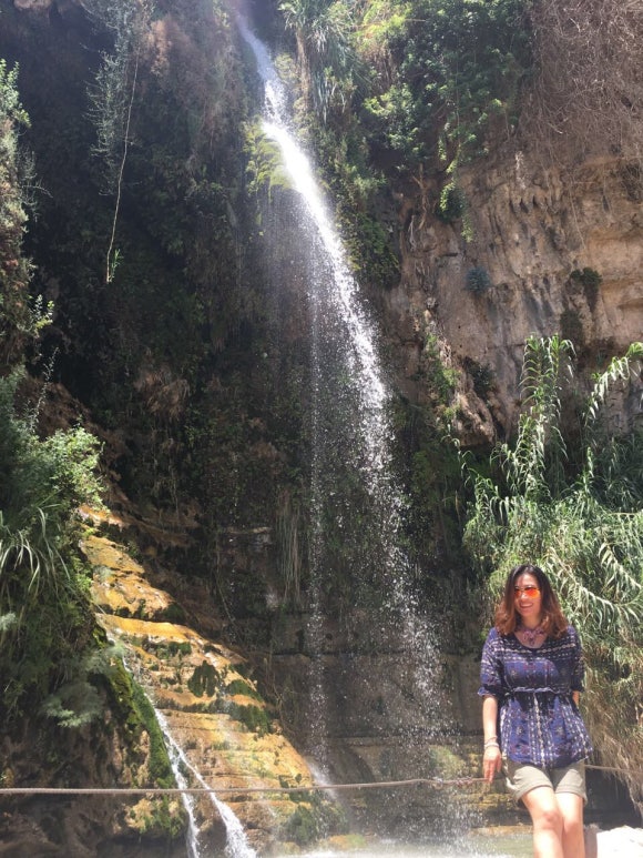 엔게디(Ein Gedi) 이미지
