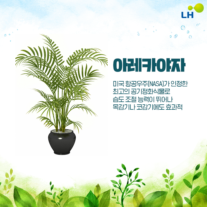 법인도란도란 이미지
